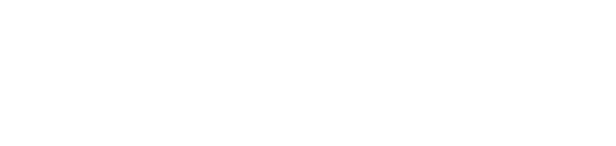 Fleetio Logo